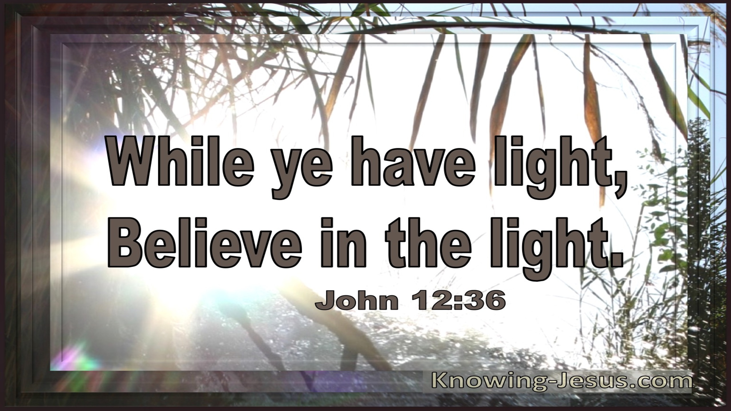 John 12:36 While Ye Have Light Believe In The Light (utmost)04:16